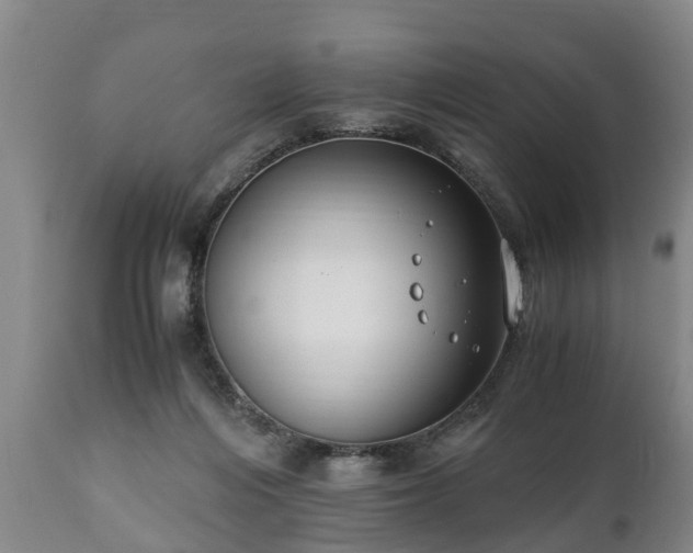 X0000110930216200906251341