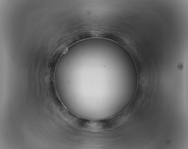 X0000110930221200906251341