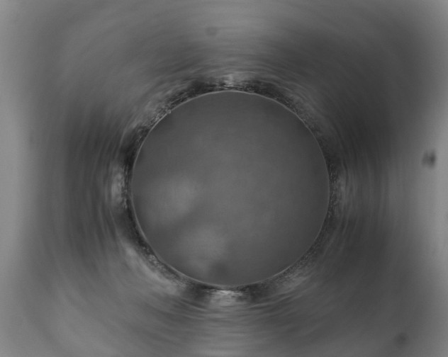 X0000110930222200906251341