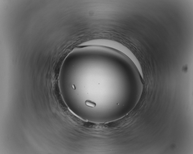 X0000110930223200906251341