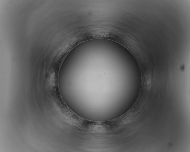 X0000110930224200906251341