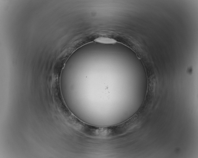 X0000110930225200906251341