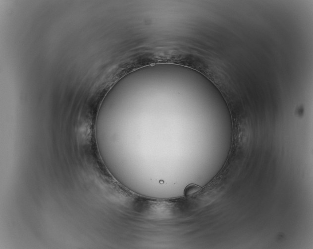 X0000110930226200906251341