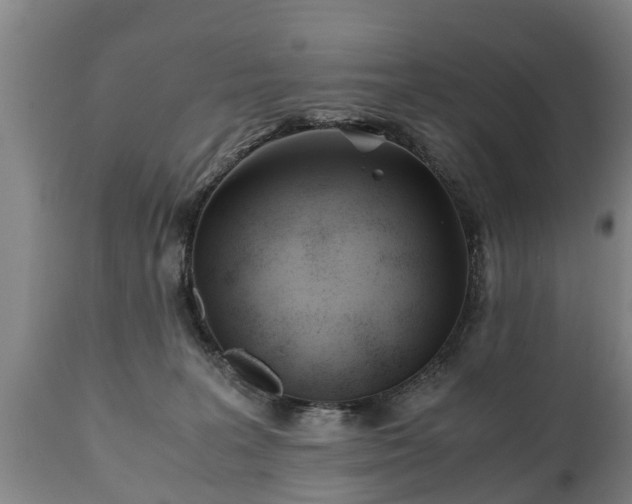 X0000110930227200906251341