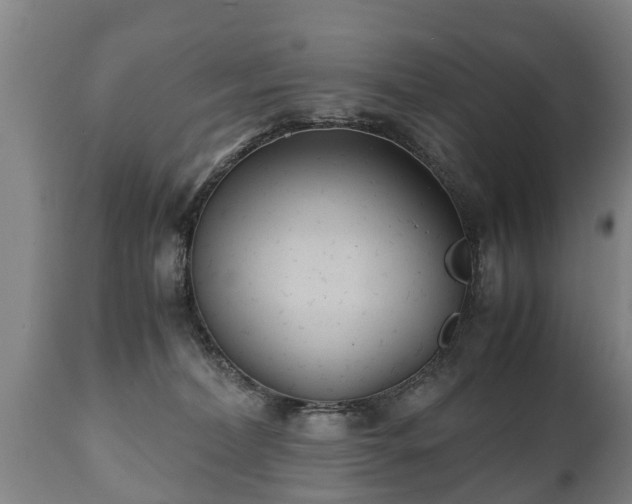 X0000110930228200906251341
