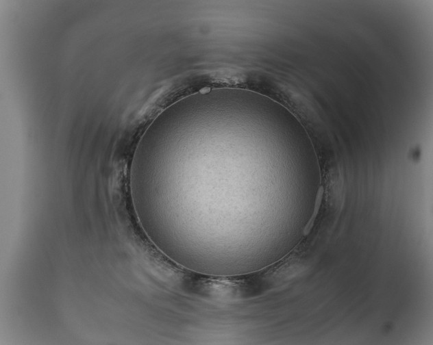 X0000110930229200906251341