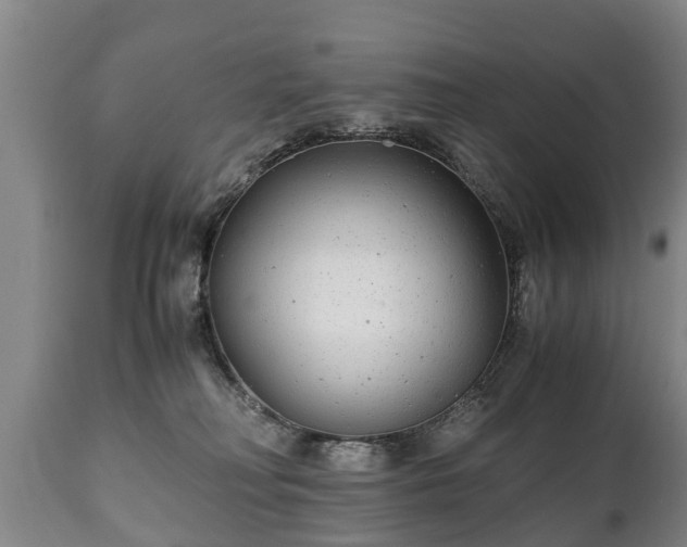 X0000110930230200906251341