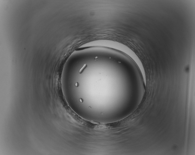 X0000110930231200906251341