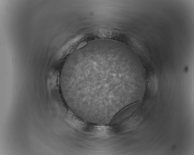X0000110930233200906251341