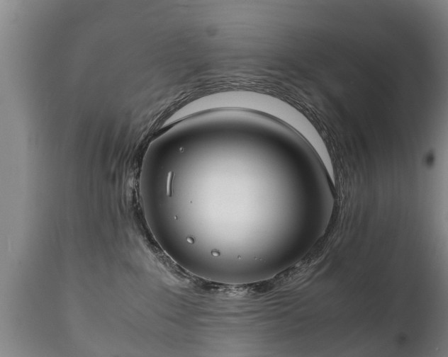 X0000110930235200906251341