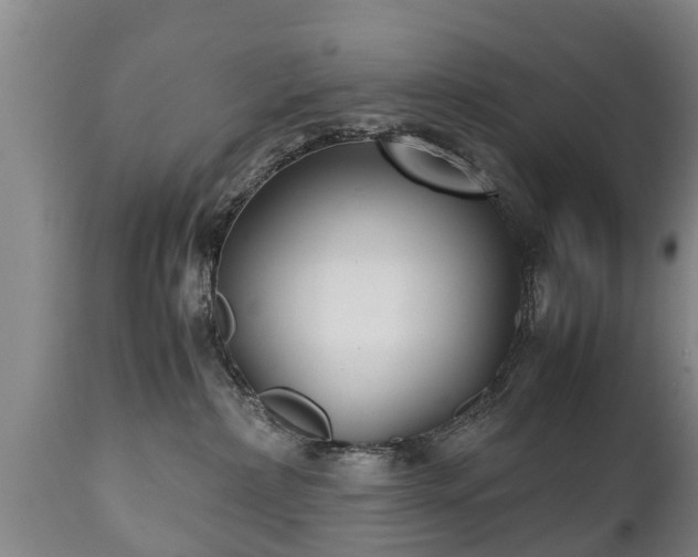 X0000110930236200906251341