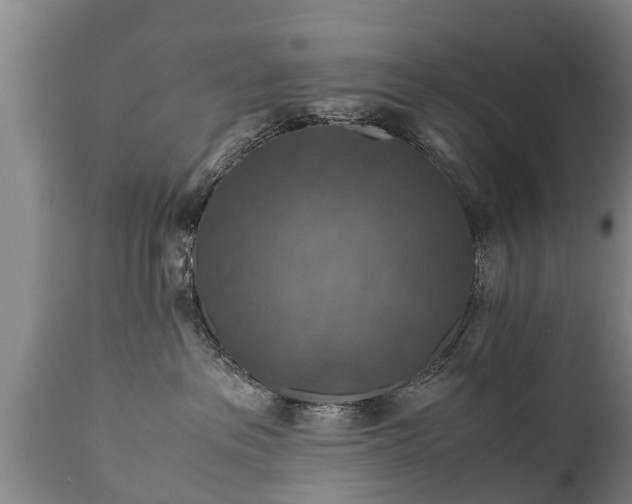X0000110930237200906251341