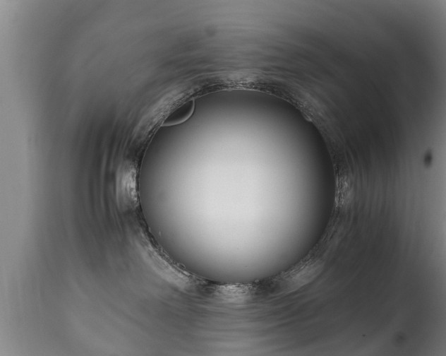 X0000110930238200906251341