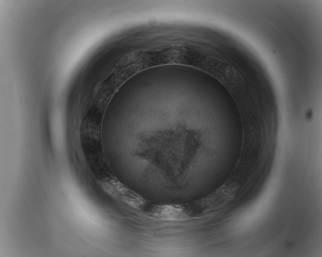 X0000110930239200906251341