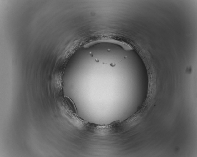 X0000110930240200906251341