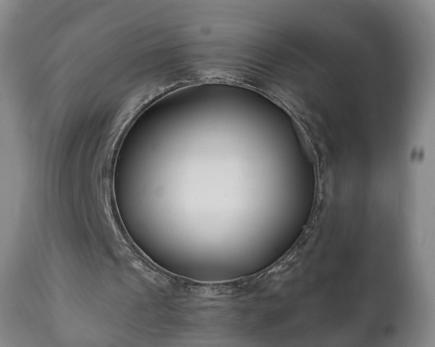 X0000110930241200906251340