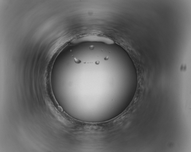 X0000110930242200906251340