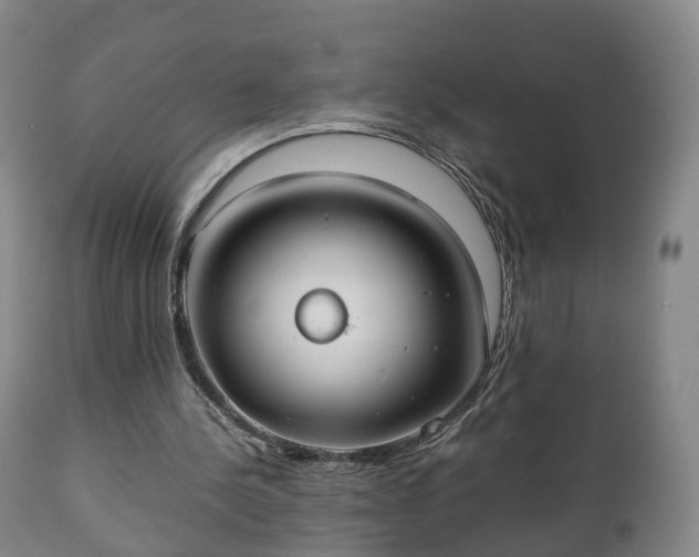 X0000110930244200906251340