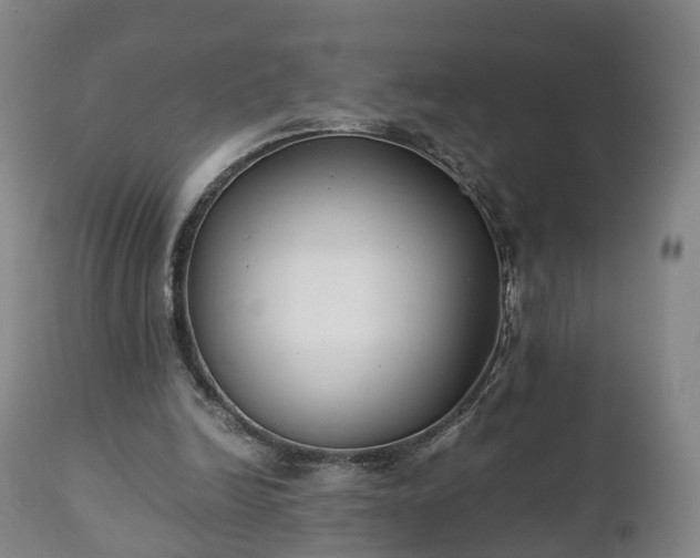 X0000110930246200906251340