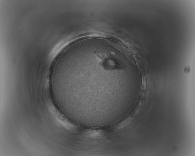 X0000110930247200906251340