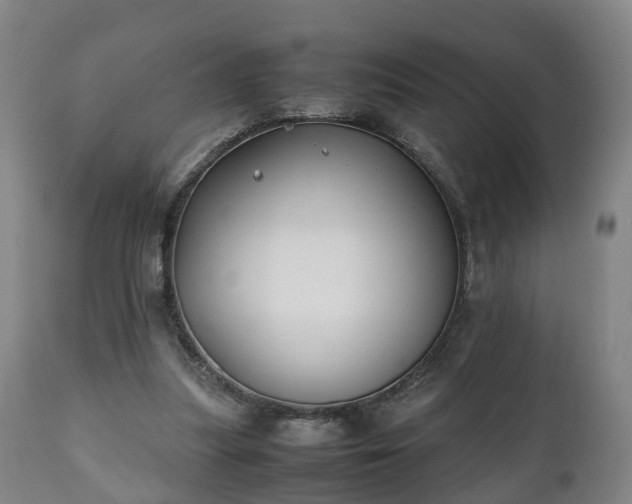 X0000110930251200906251340