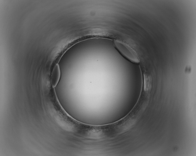 X0000110930252200906251340
