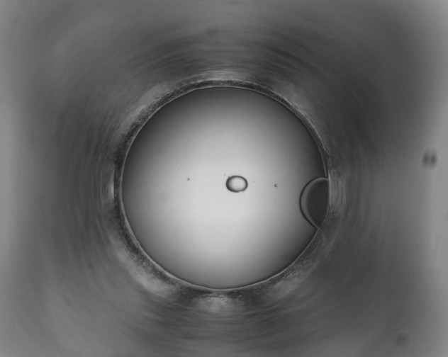 X0000110930253200906251341