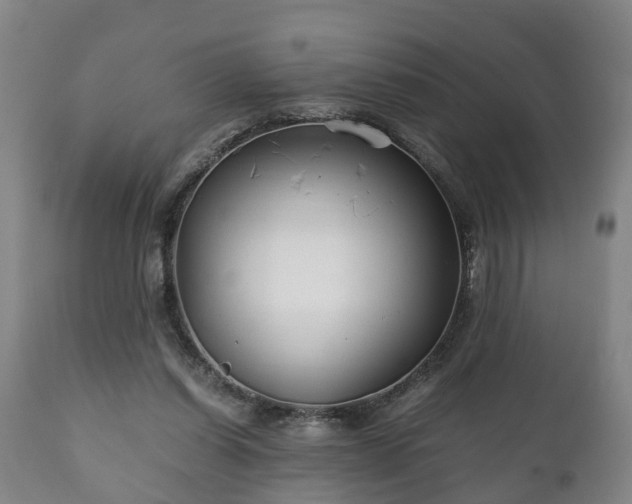 X0000110930254200906251341