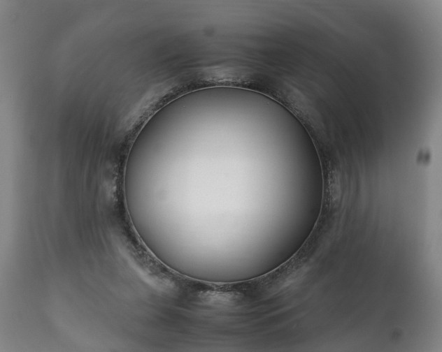 X0000110930255200906251341