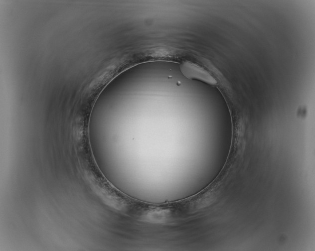 X0000110930257200906251341