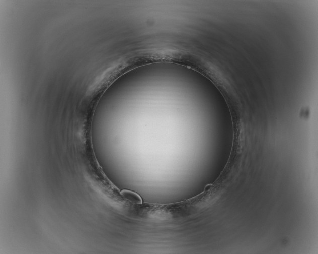 X0000110930258200906251341