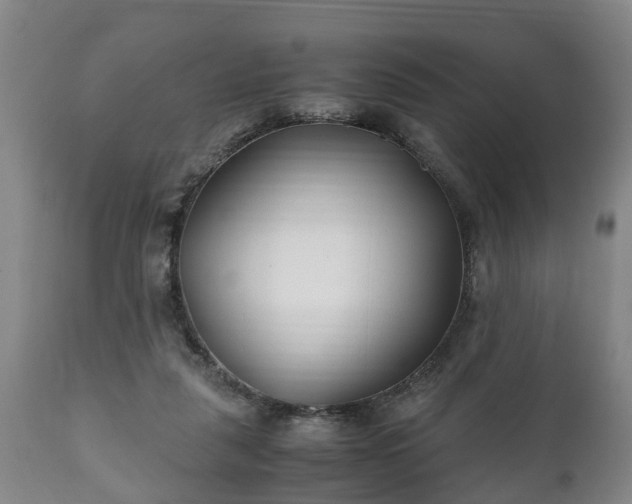 X0000110930259200906251341