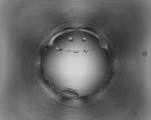 X0000110930260200906251341