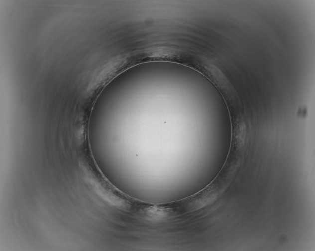 X0000110930261200906251341