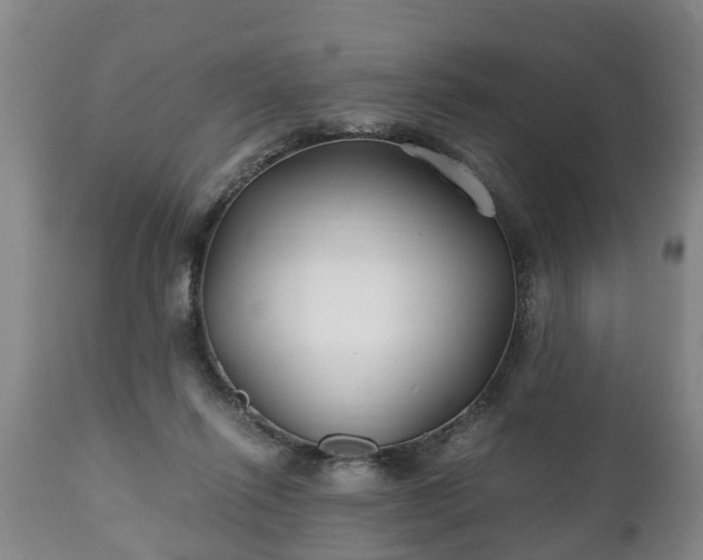 X0000110930262200906251341