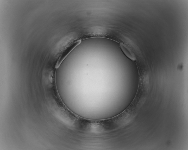 X0000110930264200906251341