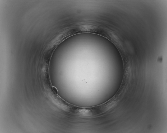 X0000110930265200906251341