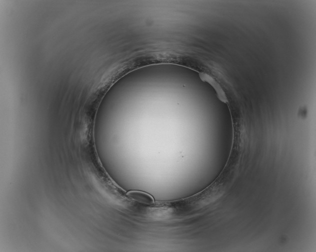 X0000110930266200906251341