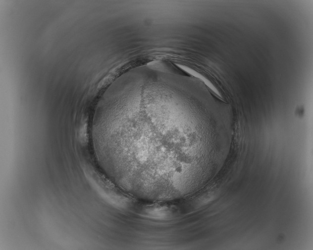 X0000110930267200906251341