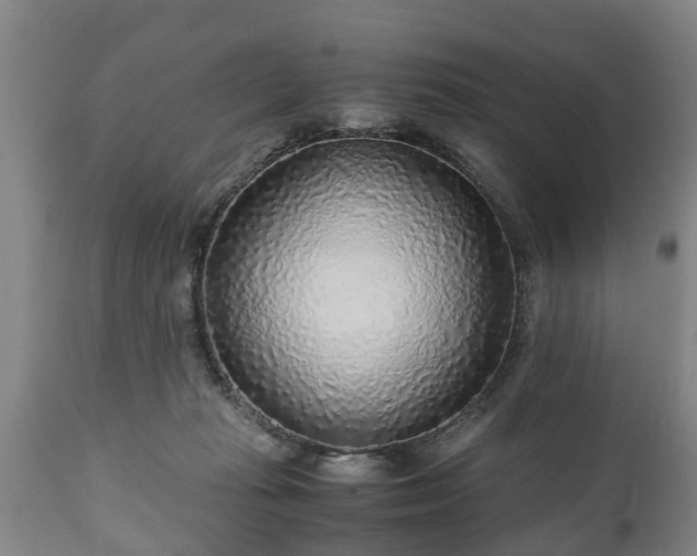 X0000110930269200906251341