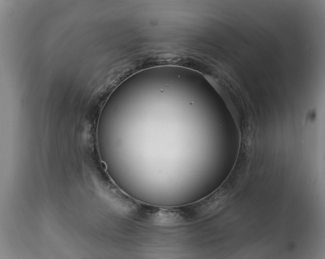 X0000110930270200906251341