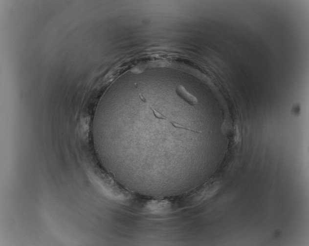 X0000110930271200906251341