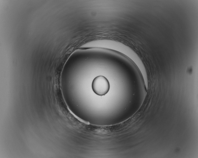 X0000110930272200906251341