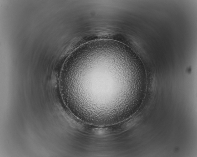 X0000110930273200906251341