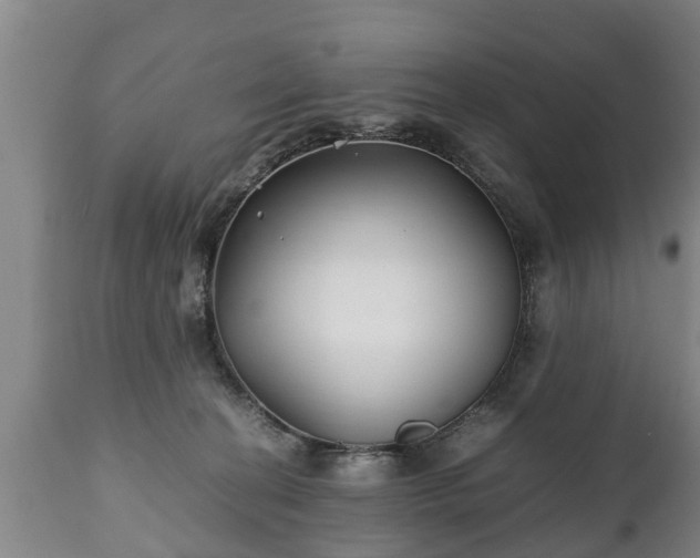 X0000110930274200906251341