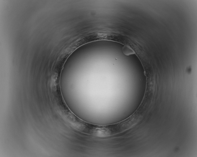 X0000110930275200906251341