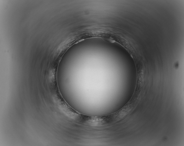 X0000110930278200906251341