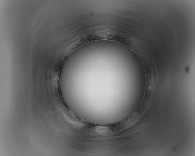 X0000110930279200906251341