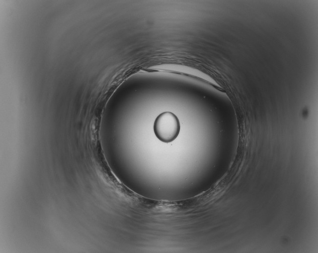X0000110930280200906251341