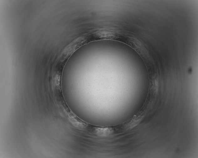 X0000110930281200906251341